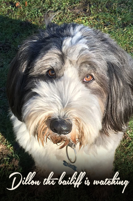 dillon bailiff
